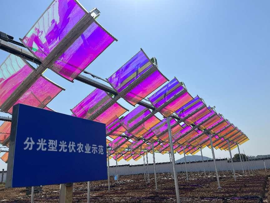 向陽而生，與光共舞——高資100MW光伏項目破土成章，勻光分光間書寫"雙碳"詩行